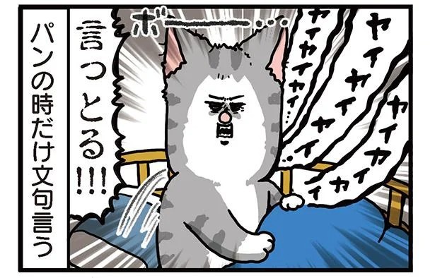 飼い主と犬の「心が通じ合った瞬間」。いや、これは嬉しくない…！／まめきちまめこニートの日常 こまちとタビ2（画像92/164枚目）