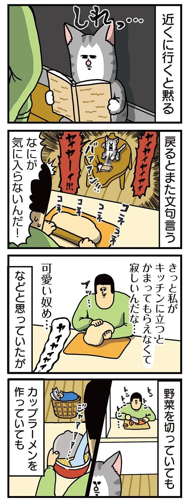 飼い主と犬の「心が通じ合った瞬間」。いや、これは嬉しくない…！／まめきちまめこニートの日常 こまちとタビ2（画像94/164枚目）