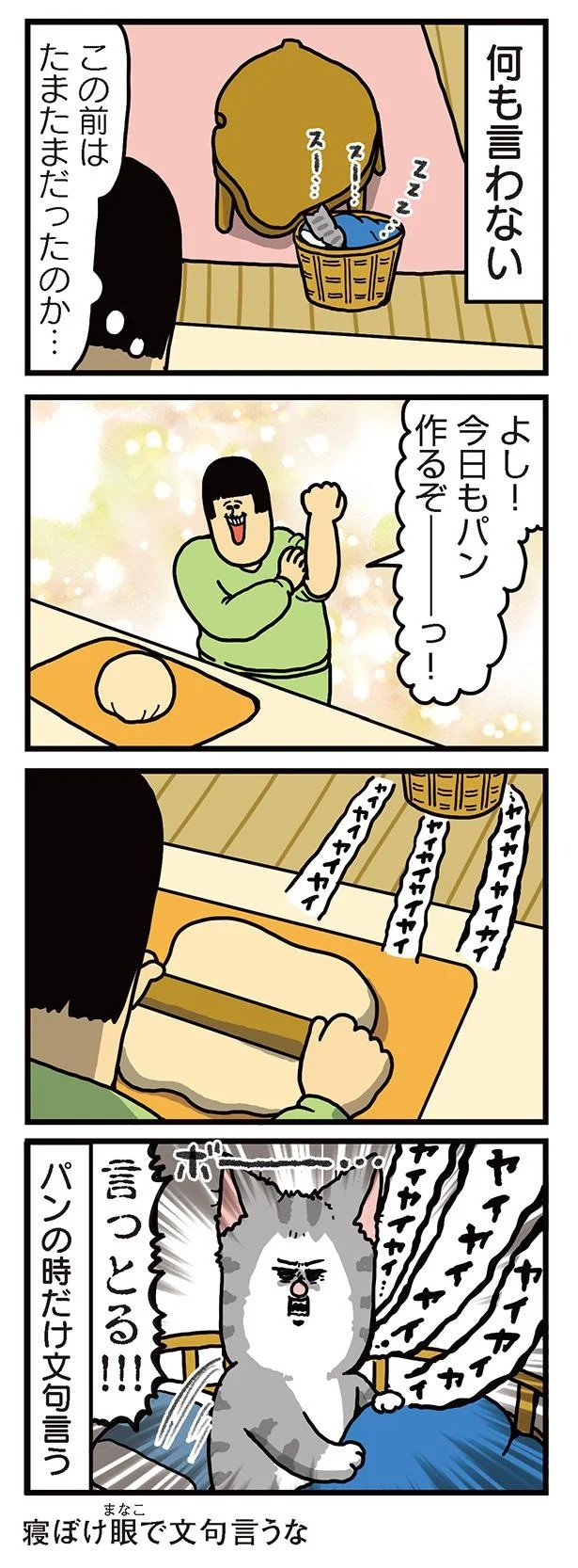 飼い主と犬の「心が通じ合った瞬間」。いや、これは嬉しくない…！／まめきちまめこニートの日常 こまちとタビ2（画像96/164枚目）