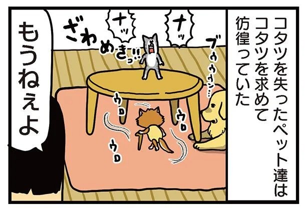 飼い主と犬の「心が通じ合った瞬間」。いや、これは嬉しくない…！／まめきちまめこニートの日常 こまちとタビ2（画像97/164枚目）