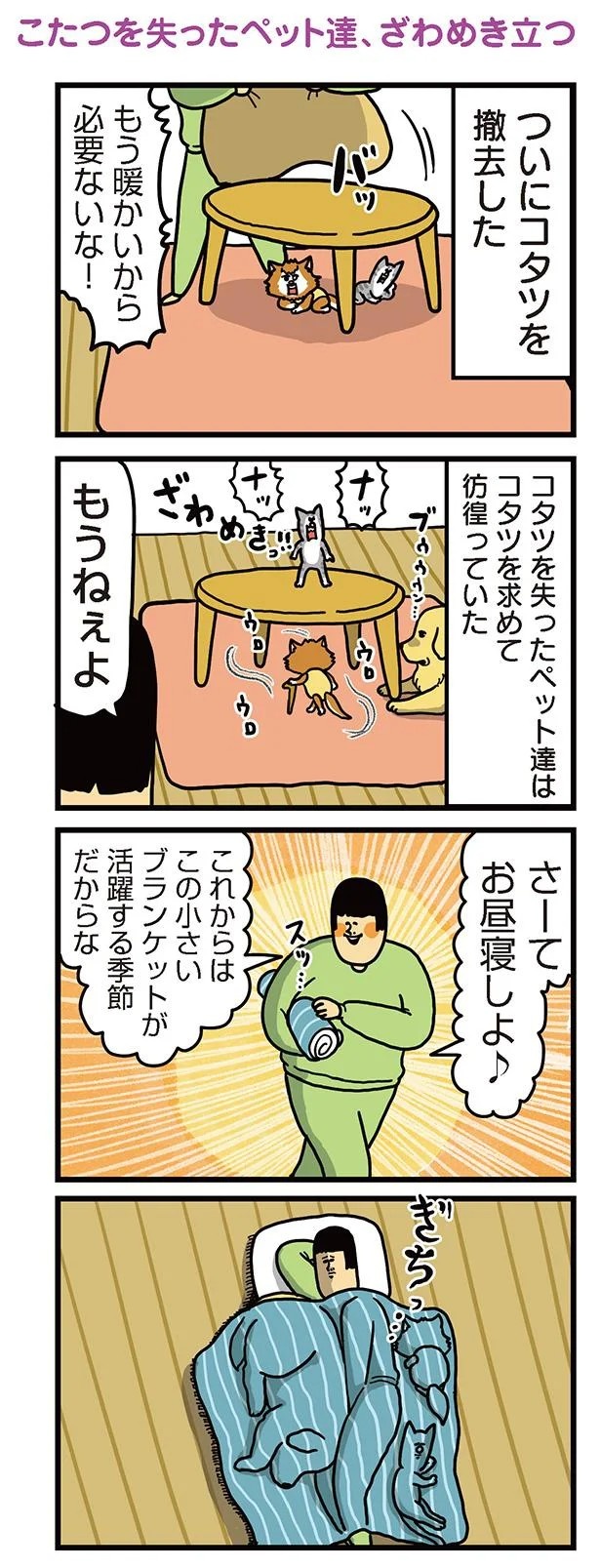 飼い主と犬の「心が通じ合った瞬間」。いや、これは嬉しくない…！／まめきちまめこニートの日常 こまちとタビ2（画像98/164枚目）