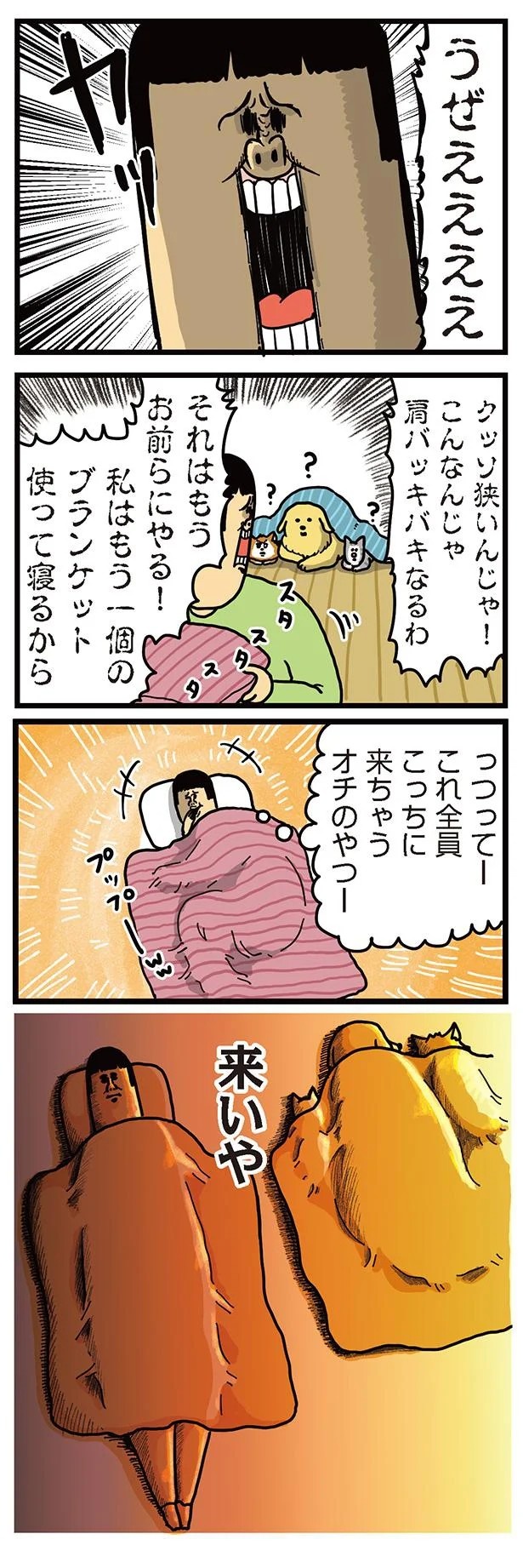 飼い主と犬の「心が通じ合った瞬間」。いや、これは嬉しくない…！／まめきちまめこニートの日常 こまちとタビ2（画像99/164枚目）