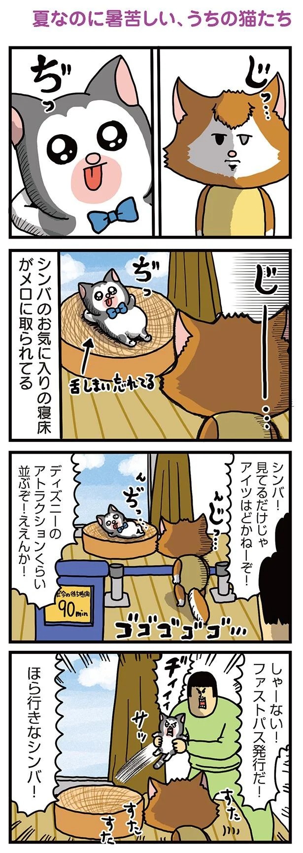 飼い主と犬の「心が通じ合った瞬間」。いや、これは嬉しくない…！／まめきちまめこニートの日常 こまちとタビ2（画像102/164枚目）