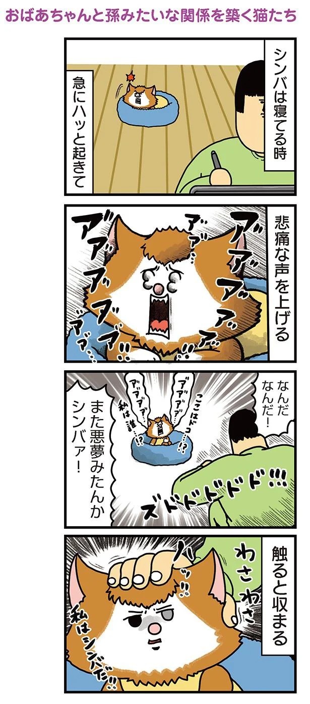 飼い主と犬の「心が通じ合った瞬間」。いや、これは嬉しくない…！／まめきちまめこニートの日常 こまちとタビ2（画像106/164枚目）