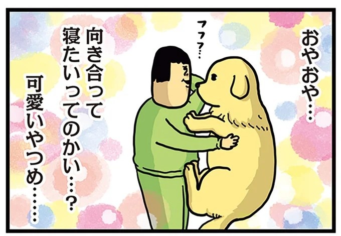 飼い主と犬の「心が通じ合った瞬間」。いや、これは嬉しくない…！／まめきちまめこニートの日常 こまちとタビ2（画像109/164枚目）