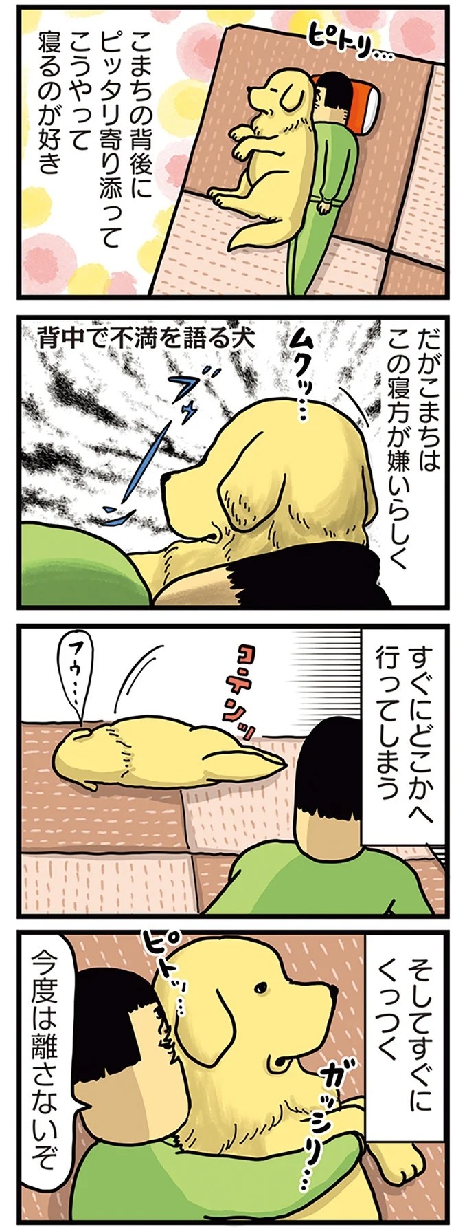 飼い主と犬の「心が通じ合った瞬間」。いや、これは嬉しくない…！／まめきちまめこニートの日常 こまちとタビ2（画像113/164枚目）