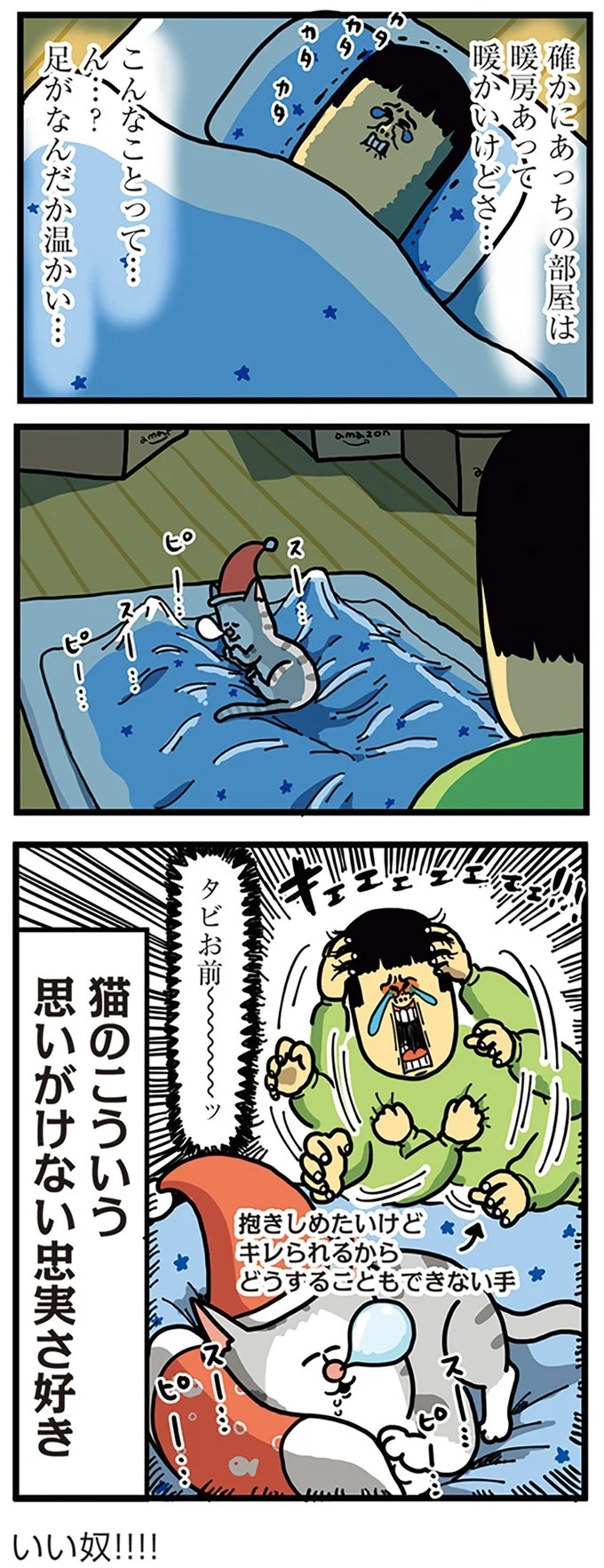 飼い主と犬の「心が通じ合った瞬間」。いや、これは嬉しくない…！／まめきちまめこニートの日常 こまちとタビ2（画像119/164枚目）