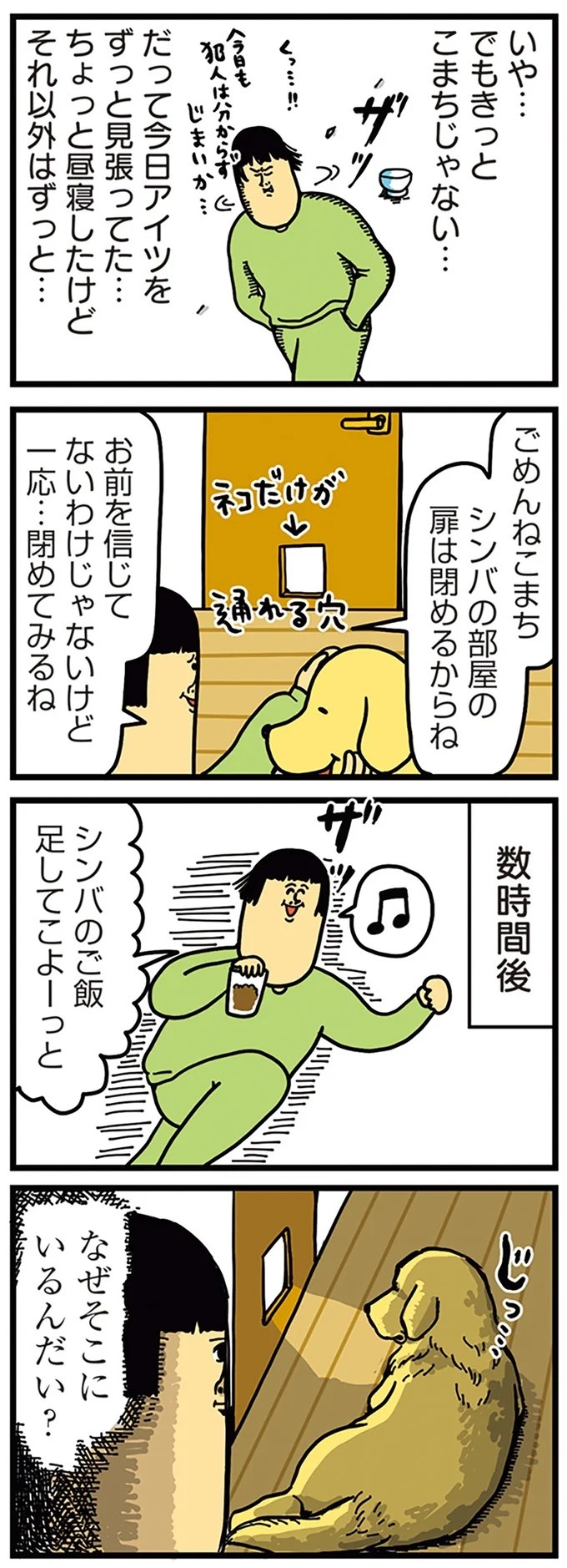 飼い主と犬の「心が通じ合った瞬間」。いや、これは嬉しくない…！／まめきちまめこニートの日常 こまちとタビ2（画像124/164枚目）