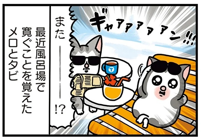飼い主と犬の「心が通じ合った瞬間」。いや、これは嬉しくない…！／まめきちまめこニートの日常 こまちとタビ2（画像128/164枚目）