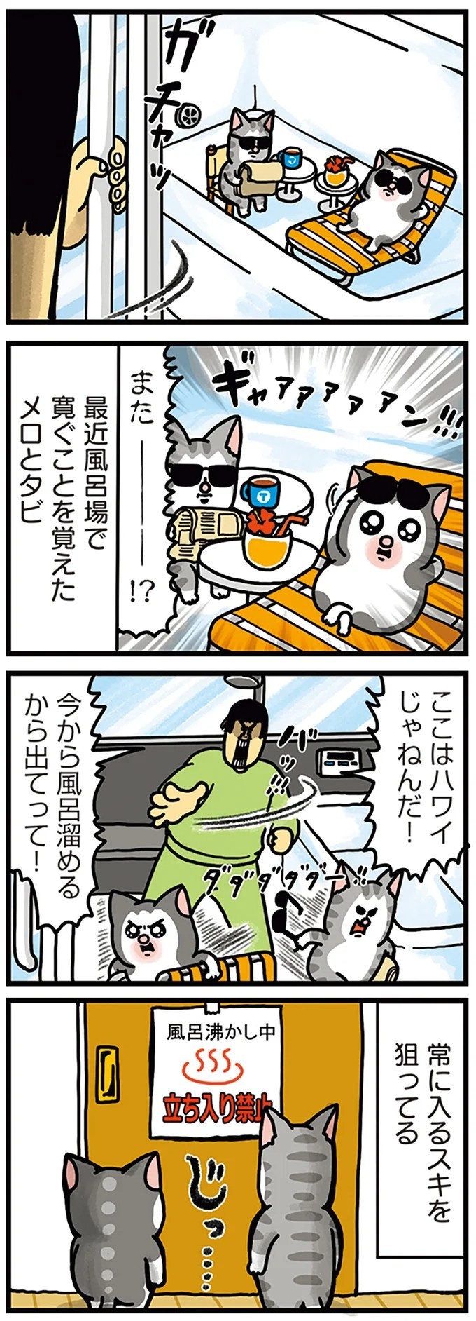 飼い主と犬の「心が通じ合った瞬間」。いや、これは嬉しくない…！／まめきちまめこニートの日常 こまちとタビ2（画像129/164枚目）