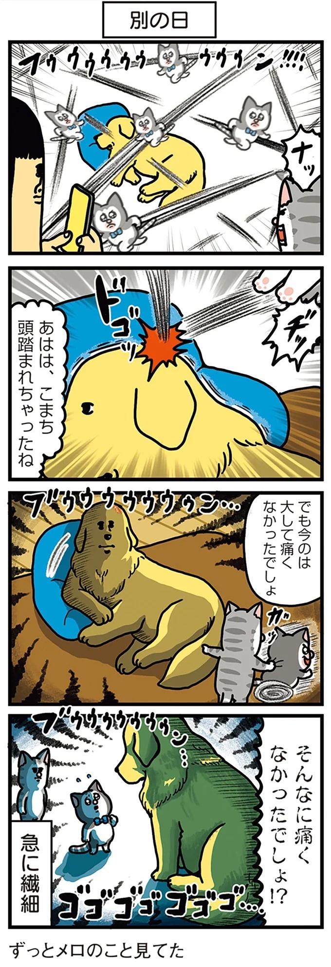 飼い主と犬の「心が通じ合った瞬間」。いや、これは嬉しくない…！／まめきちまめこニートの日常 こまちとタビ2（画像137/164枚目）