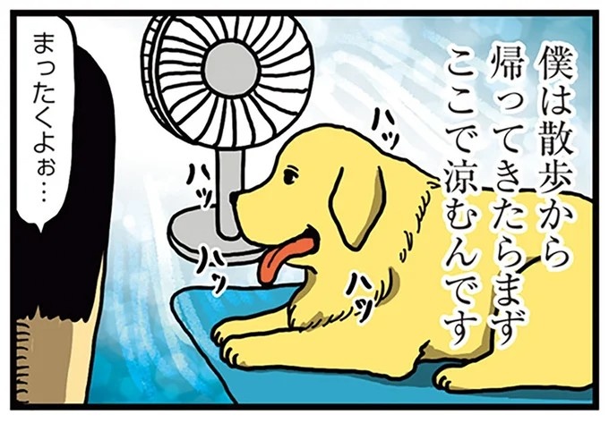 飼い主と犬の「心が通じ合った瞬間」。いや、これは嬉しくない…！／まめきちまめこニートの日常 こまちとタビ2（画像138/164枚目）