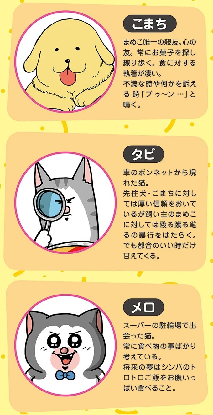 飼い主と犬の「心が通じ合った瞬間」。いや、これは嬉しくない…！／まめきちまめこニートの日常 こまちとタビ2（画像141/164枚目）