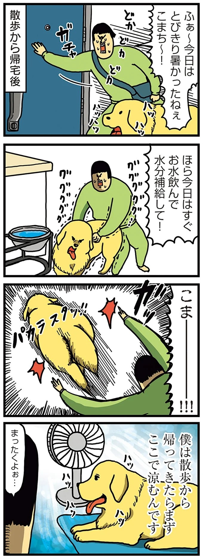 飼い主と犬の「心が通じ合った瞬間」。いや、これは嬉しくない…！／まめきちまめこニートの日常 こまちとタビ2（画像142/164枚目）