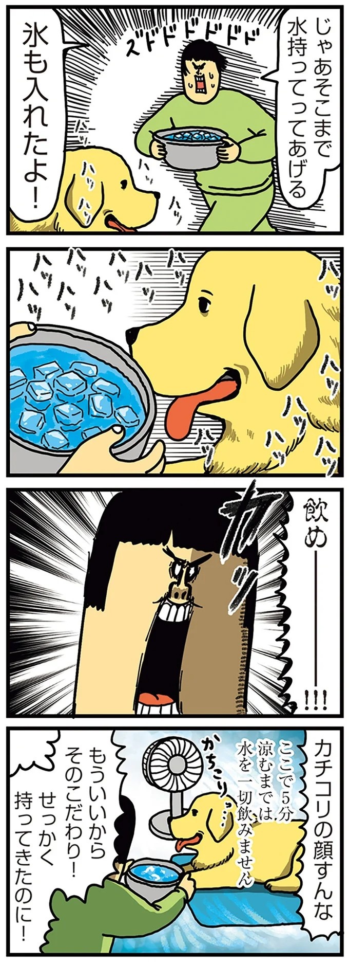 飼い主と犬の「心が通じ合った瞬間」。いや、これは嬉しくない…！／まめきちまめこニートの日常 こまちとタビ2（画像143/164枚目）