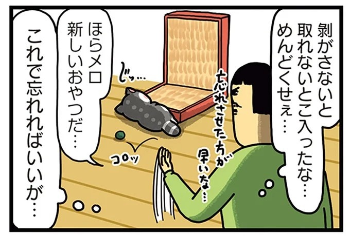 飼い主と犬の「心が通じ合った瞬間」。いや、これは嬉しくない…！／まめきちまめこニートの日常 こまちとタビ2（画像151/164枚目）