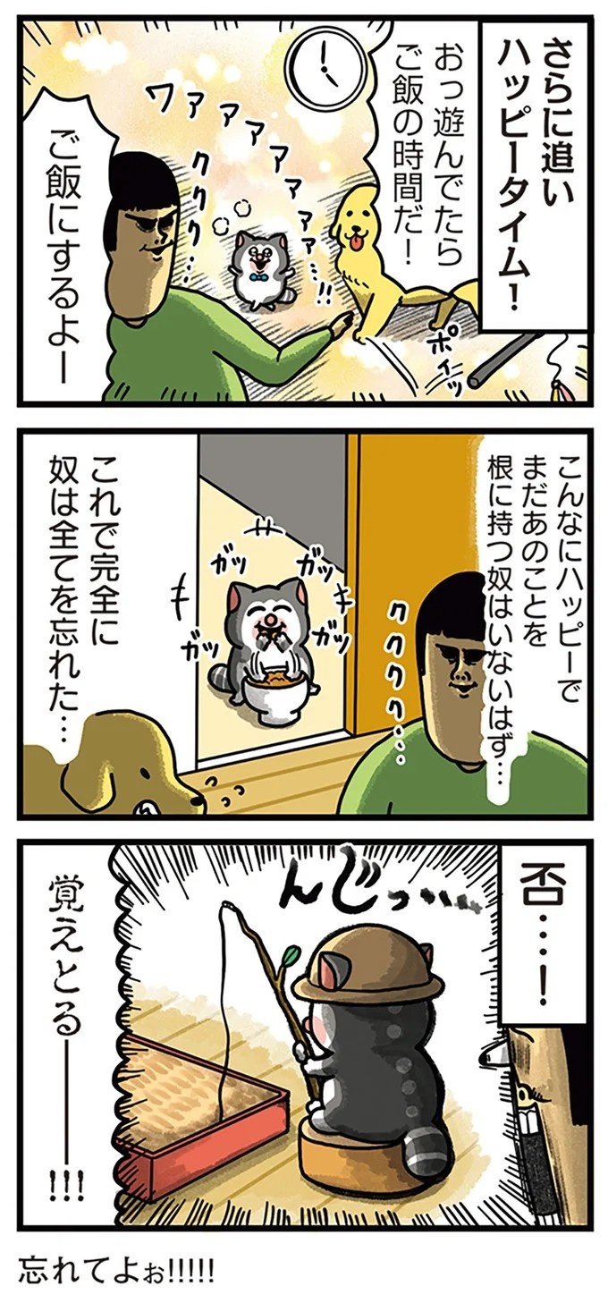 飼い主と犬の「心が通じ合った瞬間」。いや、これは嬉しくない…！／まめきちまめこニートの日常 こまちとタビ2（画像154/164枚目）