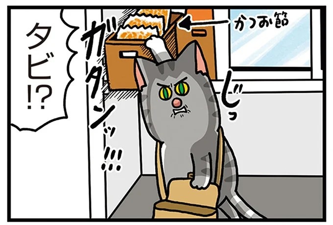 飼い主と犬の「心が通じ合った瞬間」。いや、これは嬉しくない…！／まめきちまめこニートの日常 こまちとタビ2（画像157/164枚目）