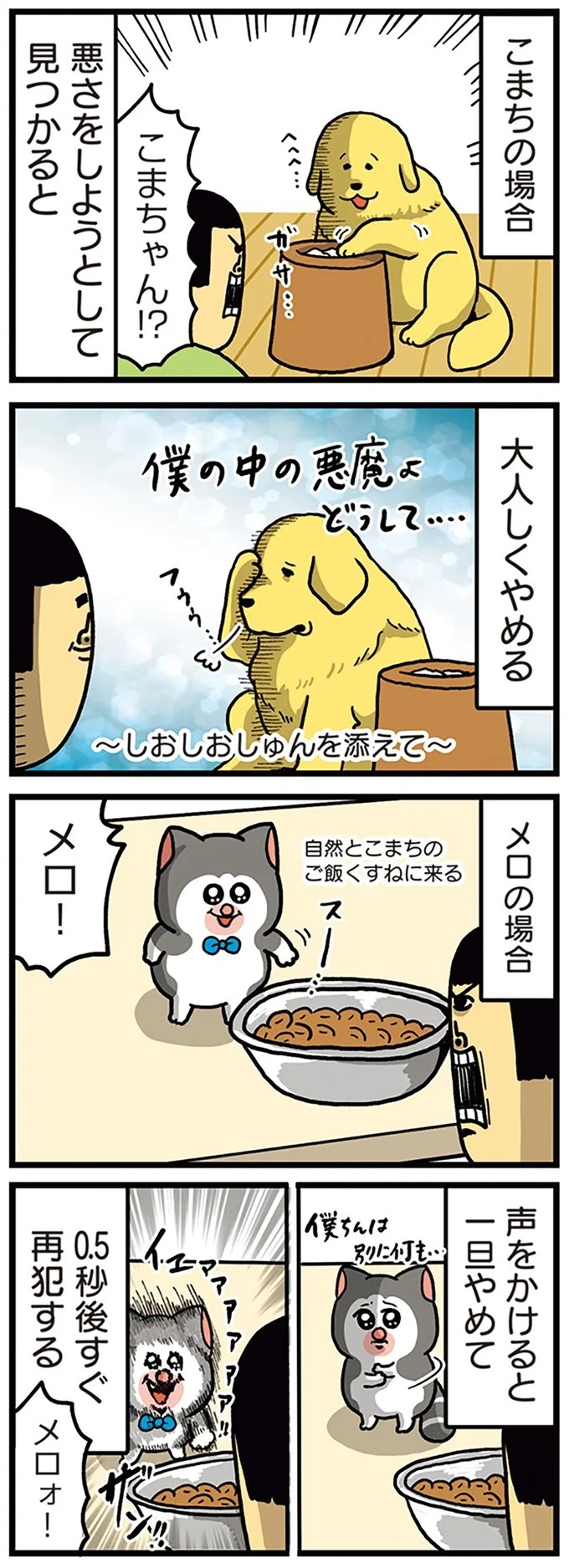 飼い主と犬の「心が通じ合った瞬間」。いや、これは嬉しくない…！／まめきちまめこニートの日常 こまちとタビ2（画像158/164枚目）