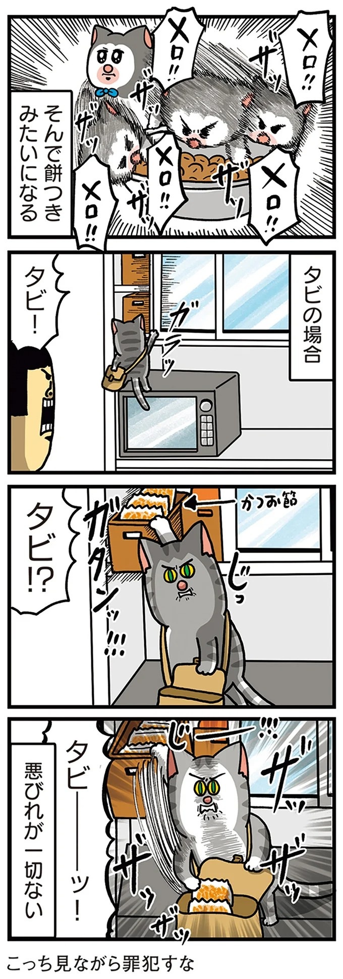飼い主と犬の「心が通じ合った瞬間」。いや、これは嬉しくない…！／まめきちまめこニートの日常 こまちとタビ2（画像159/164枚目）