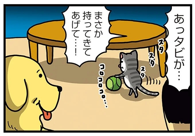 飼い主と犬の「心が通じ合った瞬間」。いや、これは嬉しくない…！／まめきちまめこニートの日常 こまちとタビ2（画像161/164枚目）