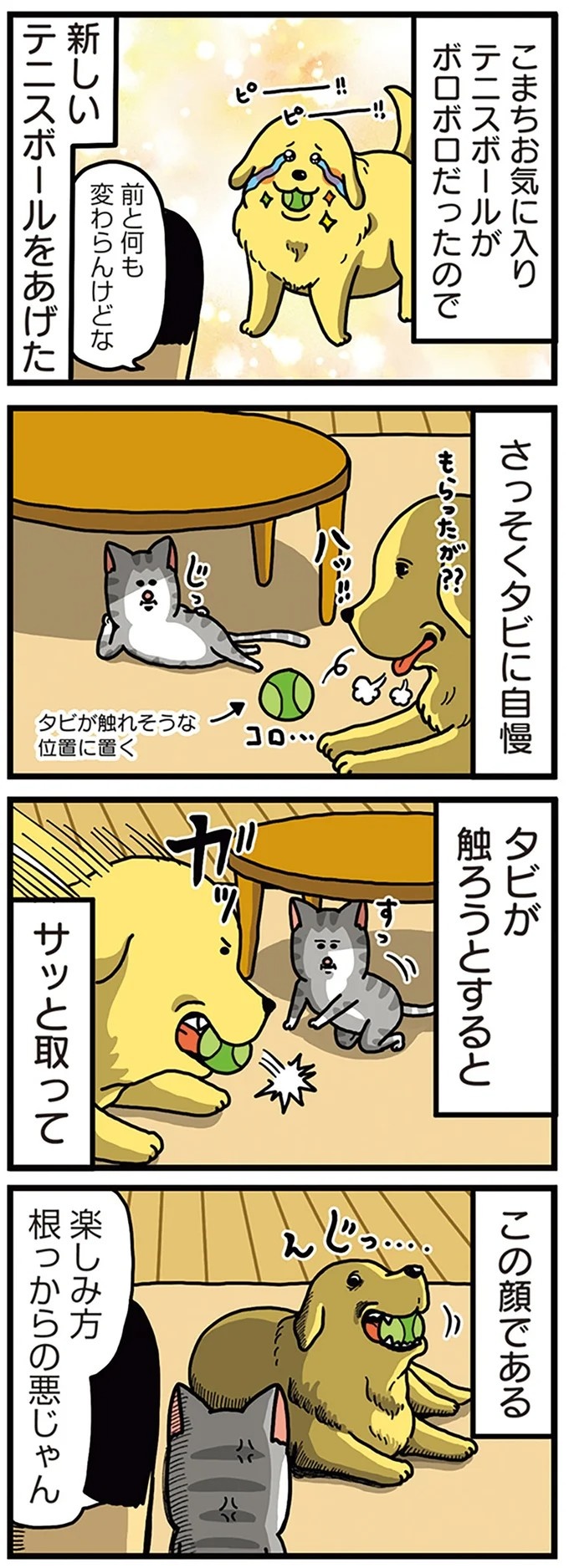 飼い主と犬の「心が通じ合った瞬間」。いや、これは嬉しくない…！／まめきちまめこニートの日常 こまちとタビ2（画像162/164枚目）