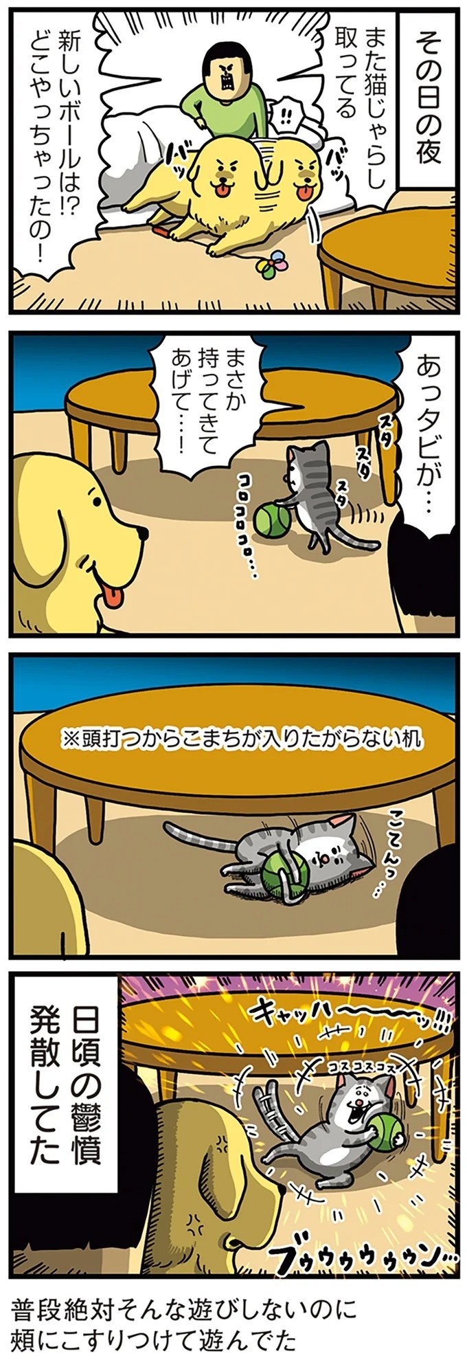 飼い主と犬の「心が通じ合った瞬間」。いや、これは嬉しくない…！／まめきちまめこニートの日常 こまちとタビ2（画像163/164枚目）