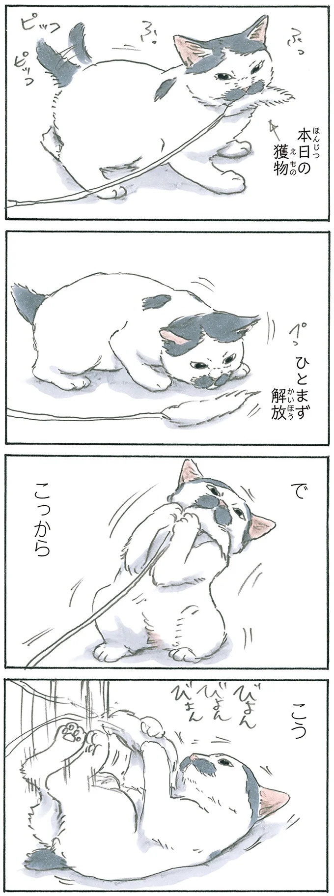 保護された子猫はすっかり家になじみました。先住猫からも可愛がられている…？／拾い猫のモチャ6（画像3/119枚目）