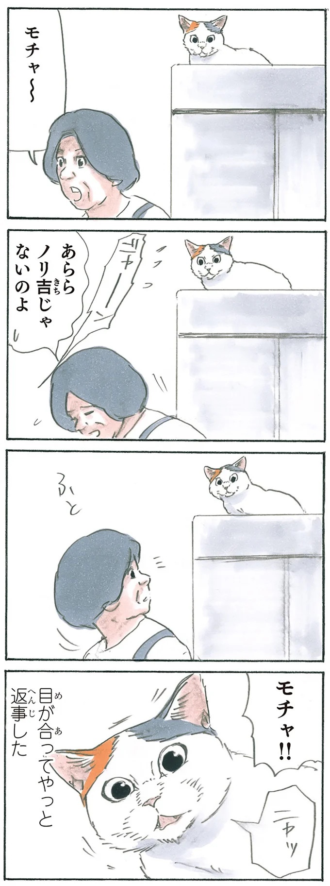 保護された子猫はすっかり家になじみました。先住猫からも可愛がられている…？／拾い猫のモチャ6（画像6/119枚目）