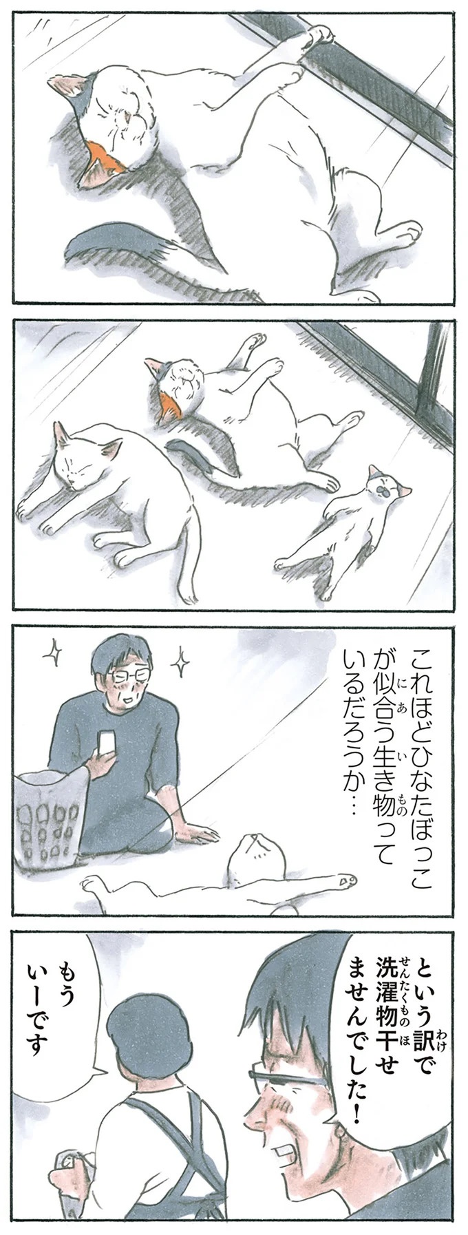 保護された子猫はすっかり家になじみました。先住猫からも可愛がられている…？／拾い猫のモチャ6（画像7/119枚目）