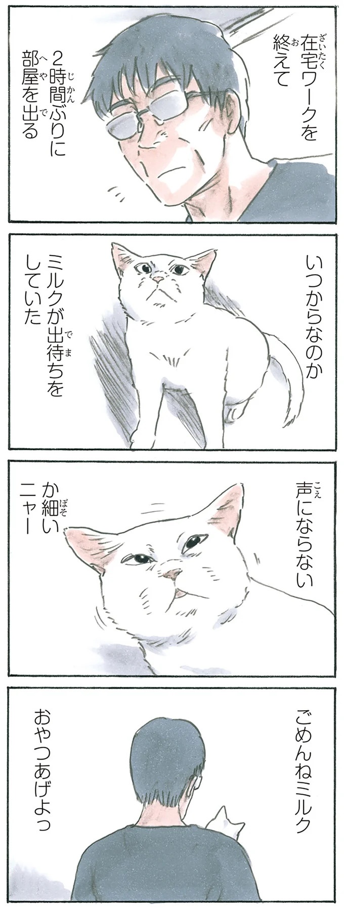 保護された子猫はすっかり家になじみました。先住猫からも可愛がられている…？／拾い猫のモチャ6（画像11/119枚目）