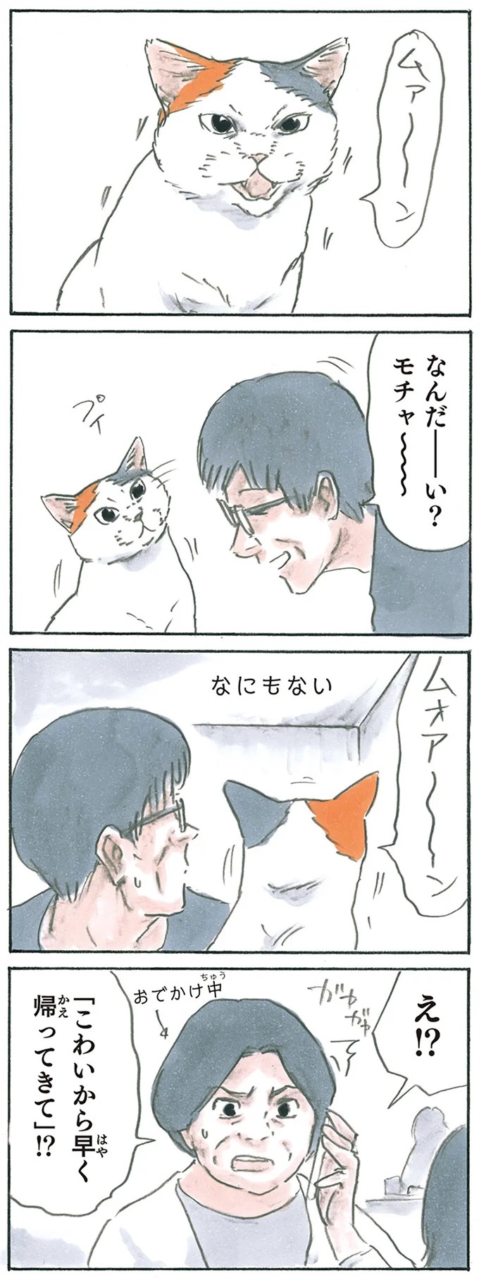 保護された子猫はすっかり家になじみました。先住猫からも可愛がられている…？／拾い猫のモチャ6（画像12/119枚目）