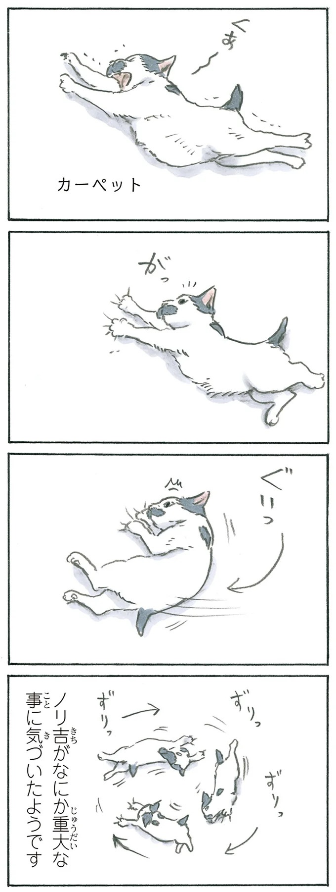 保護された子猫はすっかり家になじみました。先住猫からも可愛がられている…？／拾い猫のモチャ6（画像14/119枚目）