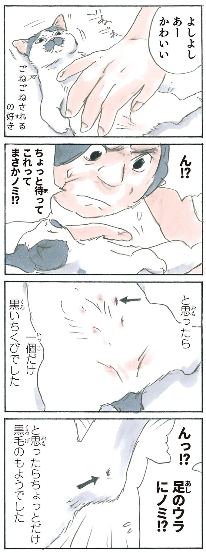 保護された子猫はすっかり家になじみました。先住猫からも可愛がられている…？／拾い猫のモチャ6（画像19/119枚目）