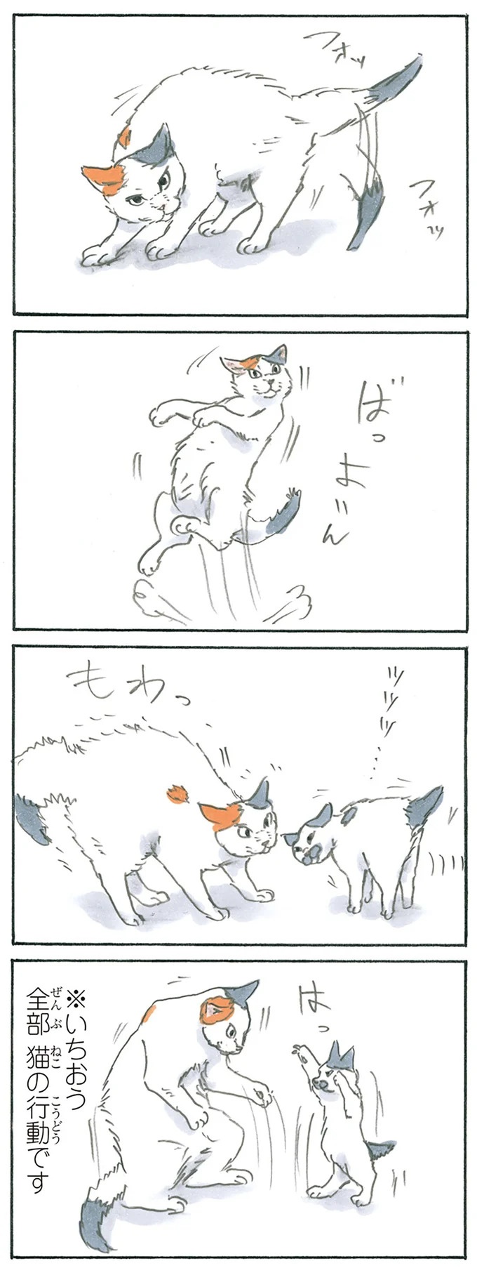 保護された子猫はすっかり家になじみました。先住猫からも可愛がられている…？／拾い猫のモチャ6（画像21/119枚目）