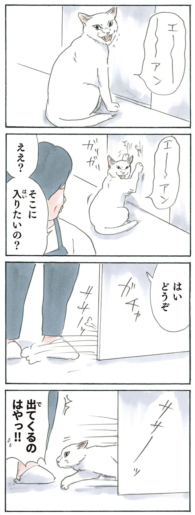 保護された子猫はすっかり家になじみました。先住猫からも可愛がられている…？／拾い猫のモチャ6（画像22/119枚目）