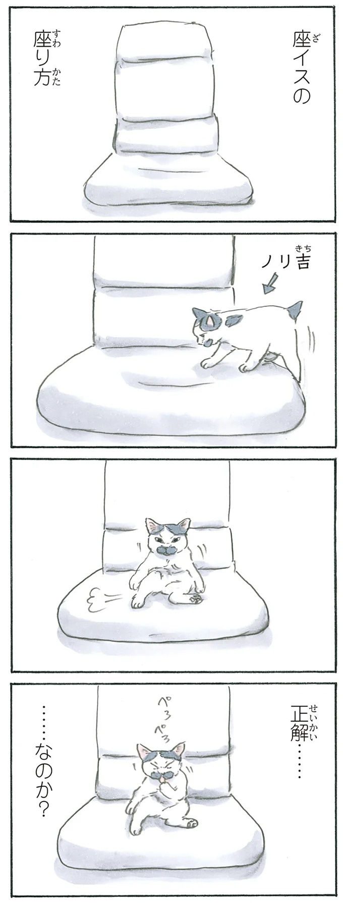 保護された子猫はすっかり家になじみました。先住猫からも可愛がられている…？／拾い猫のモチャ6（画像26/119枚目）