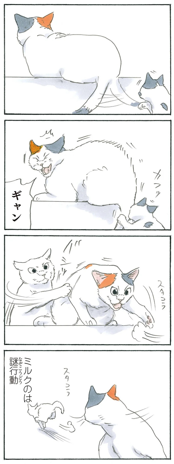 保護された子猫はすっかり家になじみました。先住猫からも可愛がられている…？／拾い猫のモチャ6（画像27/119枚目）
