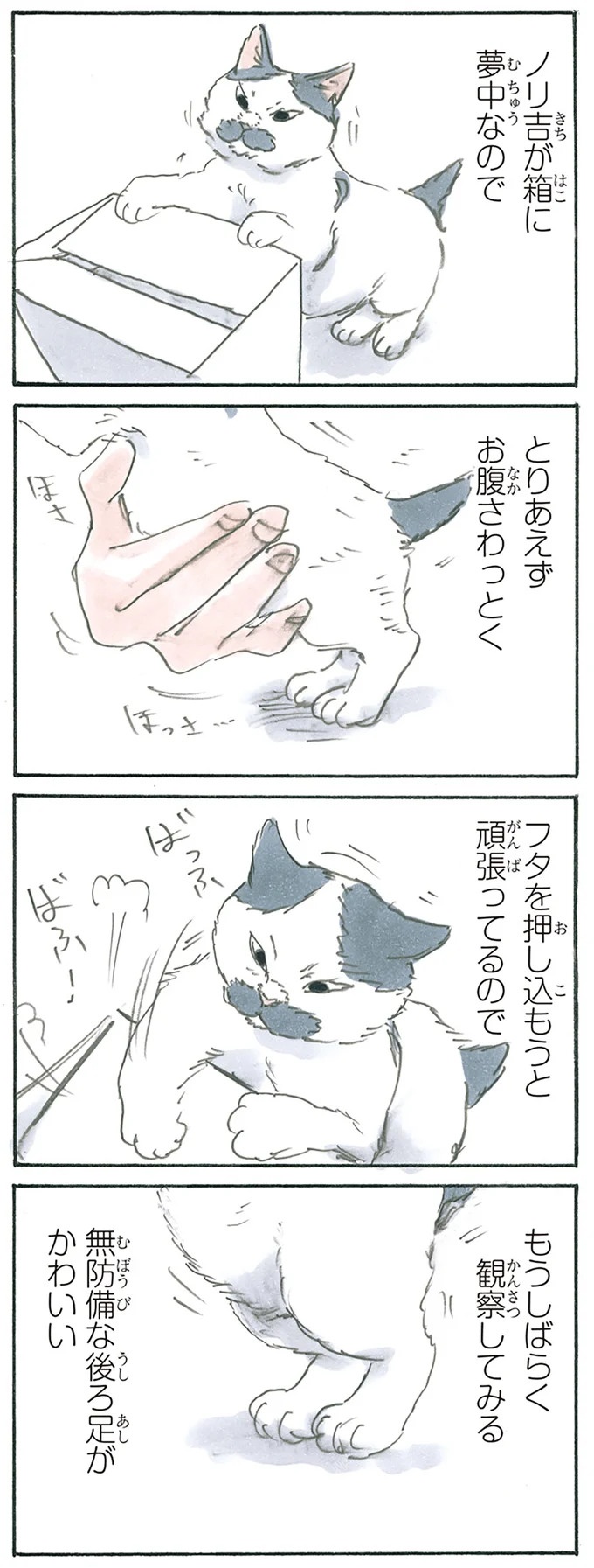 保護された子猫はすっかり家になじみました。先住猫からも可愛がられている…？／拾い猫のモチャ6（画像29/119枚目）