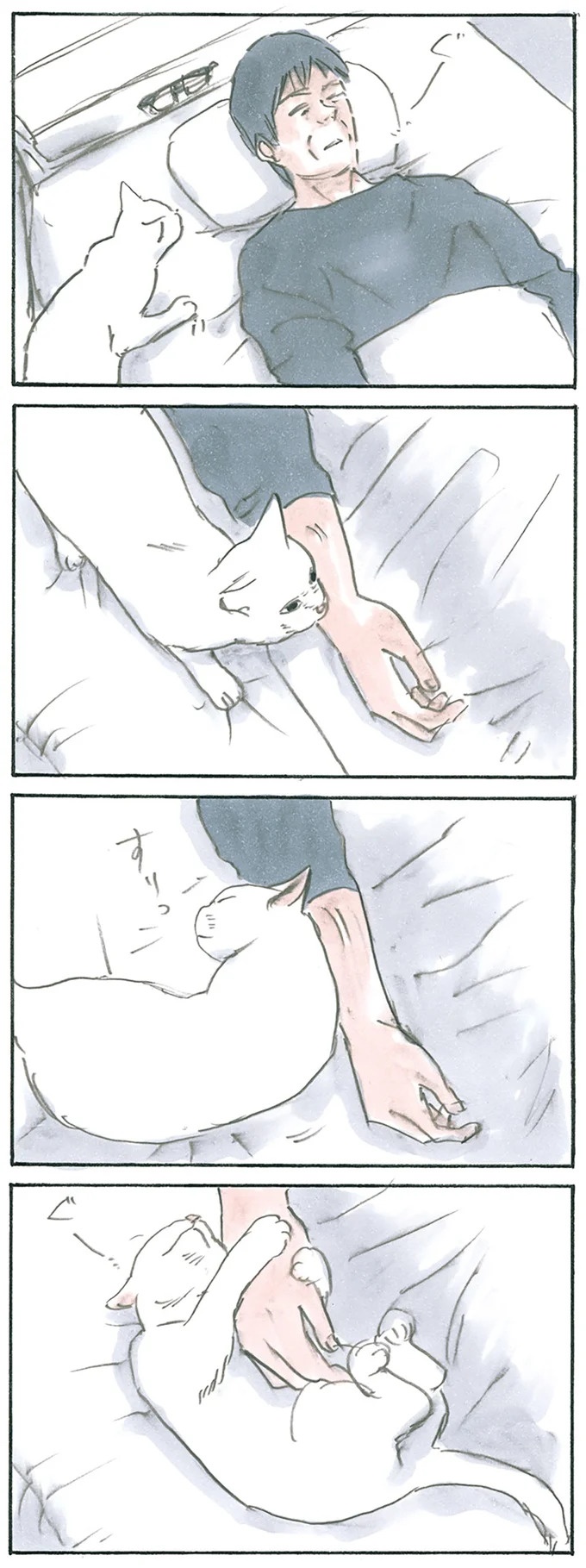 保護された子猫はすっかり家になじみました。先住猫からも可愛がられている…？／拾い猫のモチャ6（画像31/119枚目）