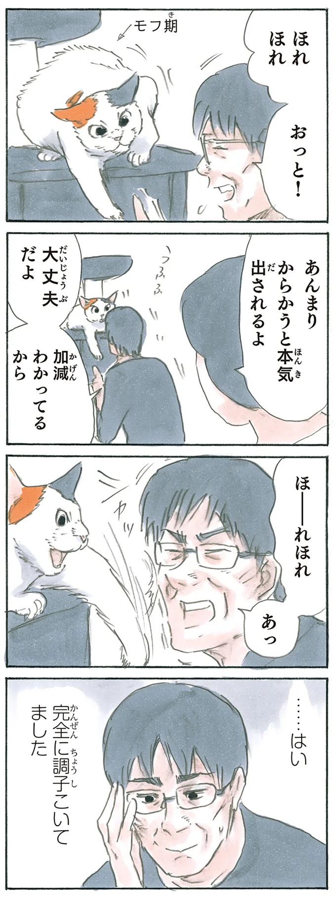 保護された子猫はすっかり家になじみました。先住猫からも可愛がられている…？／拾い猫のモチャ6（画像32/119枚目）