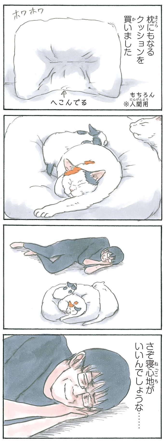 保護された子猫はすっかり家になじみました。先住猫からも可愛がられている…？／拾い猫のモチャ6（画像34/119枚目）