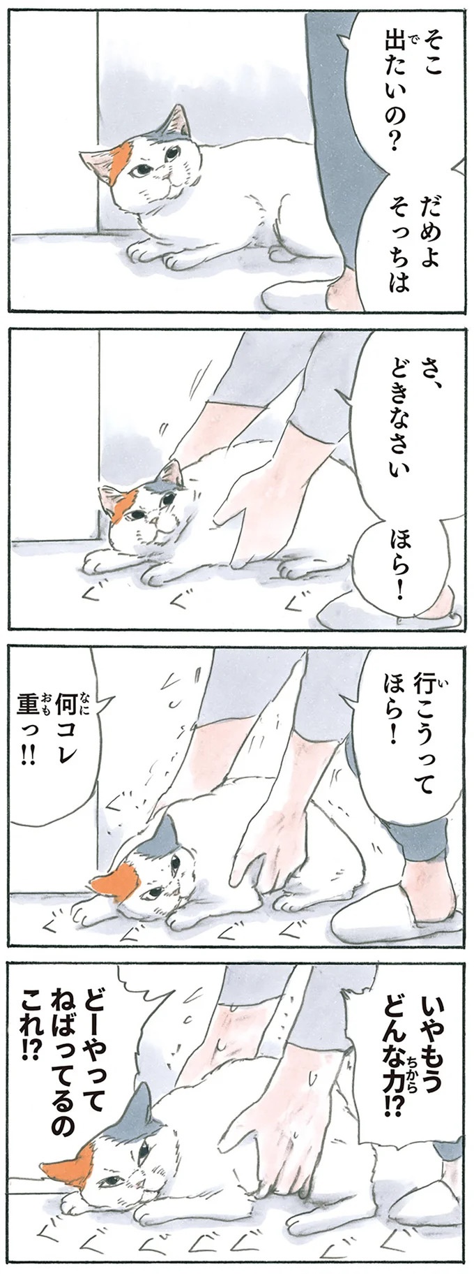 保護された子猫はすっかり家になじみました。先住猫からも可愛がられている…？／拾い猫のモチャ6（画像36/119枚目）
