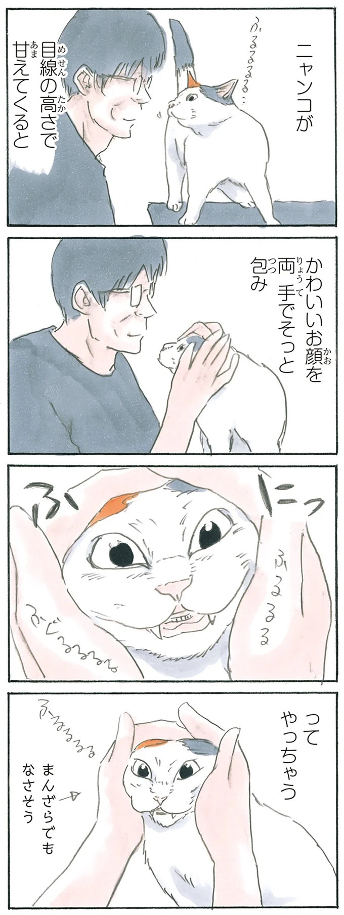 保護された子猫はすっかり家になじみました。先住猫からも可愛がられている…？／拾い猫のモチャ6（画像37/119枚目）