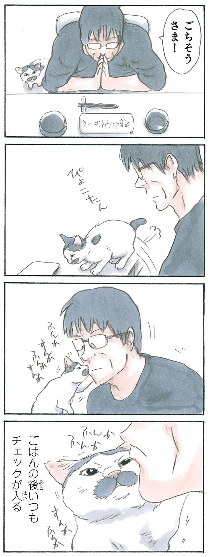 保護された子猫はすっかり家になじみました。先住猫からも可愛がられている…？／拾い猫のモチャ6（画像38/119枚目）