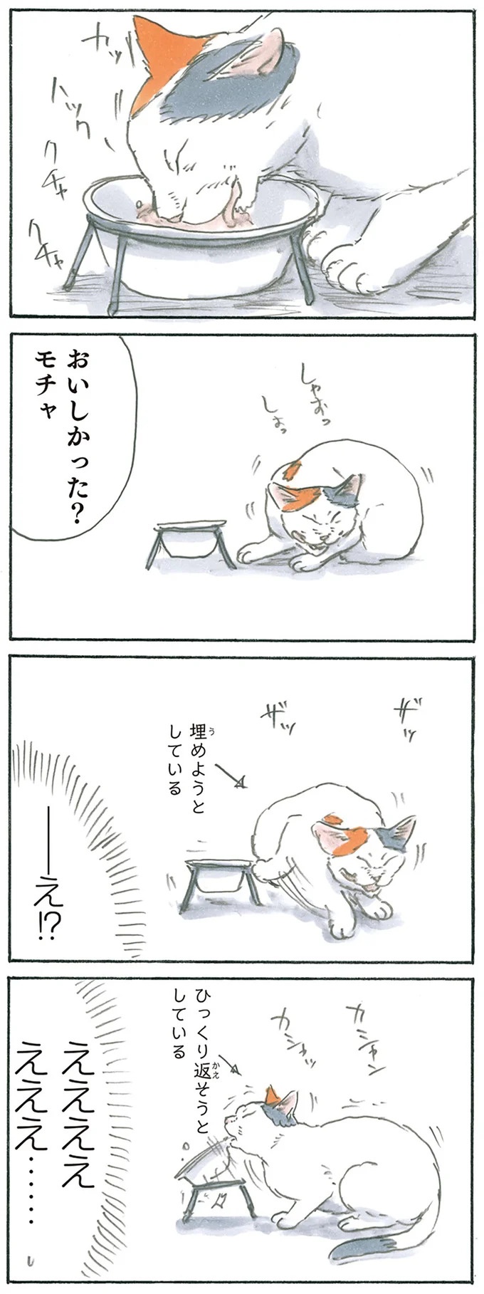 保護された子猫はすっかり家になじみました。先住猫からも可愛がられている…？／拾い猫のモチャ6（画像41/119枚目）