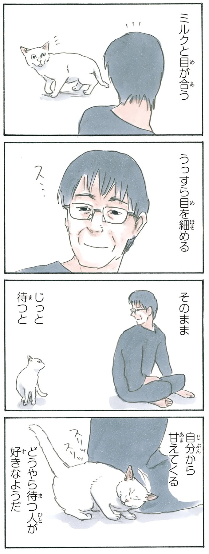 保護された子猫はすっかり家になじみました。先住猫からも可愛がられている…？／拾い猫のモチャ6（画像42/119枚目）