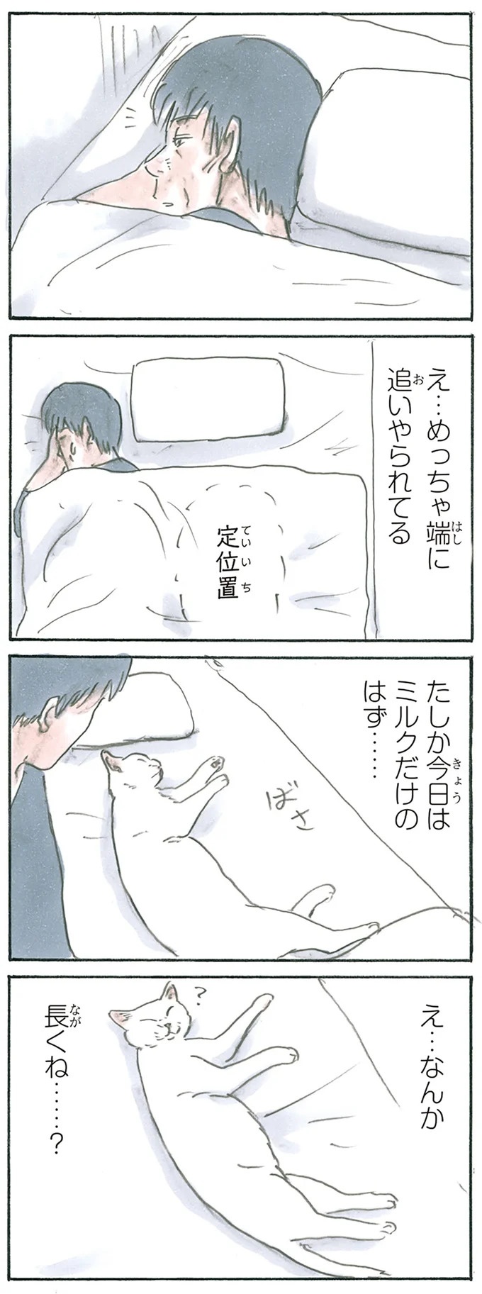 保護された子猫はすっかり家になじみました。先住猫からも可愛がられている…？／拾い猫のモチャ6（画像43/119枚目）