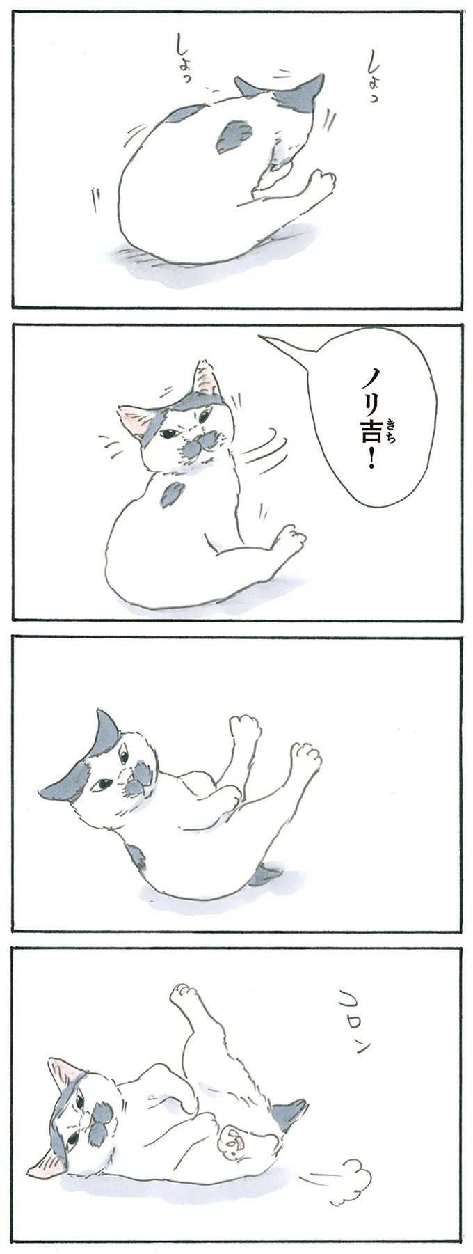 保護された子猫はすっかり家になじみました。先住猫からも可愛がられている…？／拾い猫のモチャ6（画像44/119枚目）