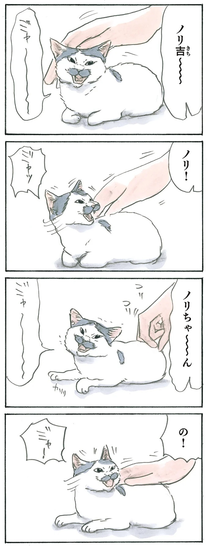 保護された子猫はすっかり家になじみました。先住猫からも可愛がられている…？／拾い猫のモチャ6（画像48/119枚目）